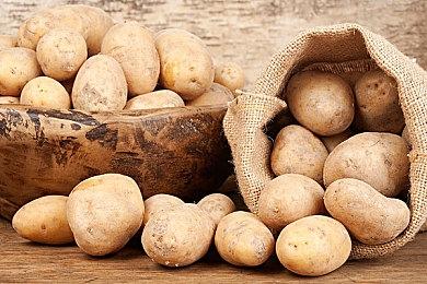 不限制5人撤离！《ARC Raiders》公开开团宣传游戏